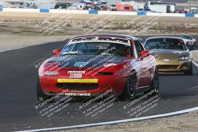 media/Jan-25-2025-CalClub SCCA (Sat) [[03c98a249e]]/Race 4/